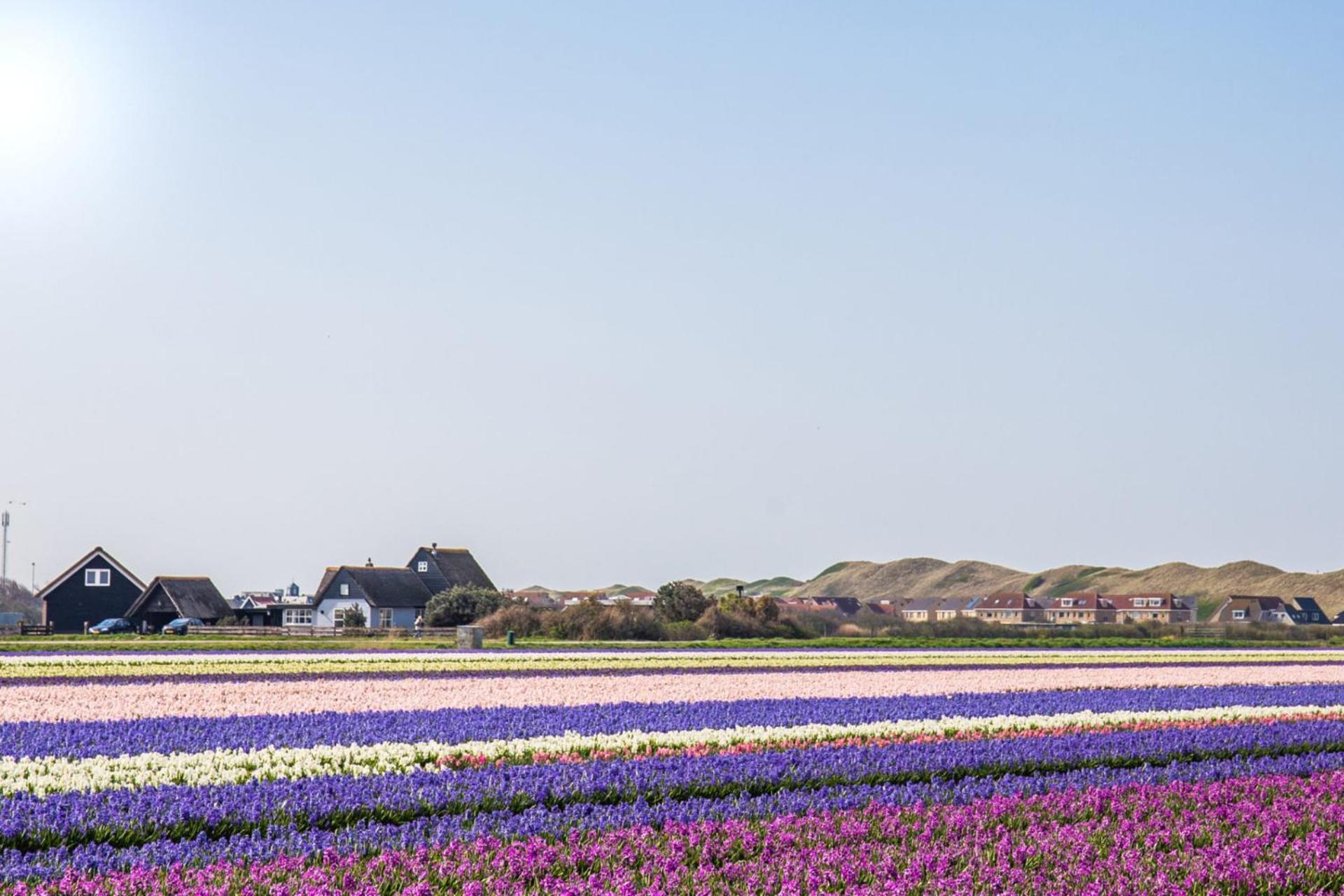 Beach Appartement 27 - Aan De Duinen, Callantsoog Aan Zee Exterior foto